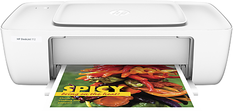 Printer HP 1112